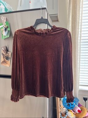 Women's Brown Velvet Ruffle-Neck Long Sleeve Top